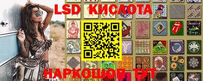 PSILOCYBIN Заводоуковск