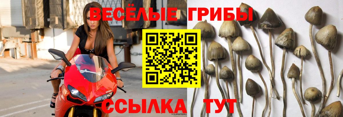 Галлюциногенные грибы ЛСД  Вход с VPN  Галлюциногенные грибы Cubensis  Лосино-Петровский 